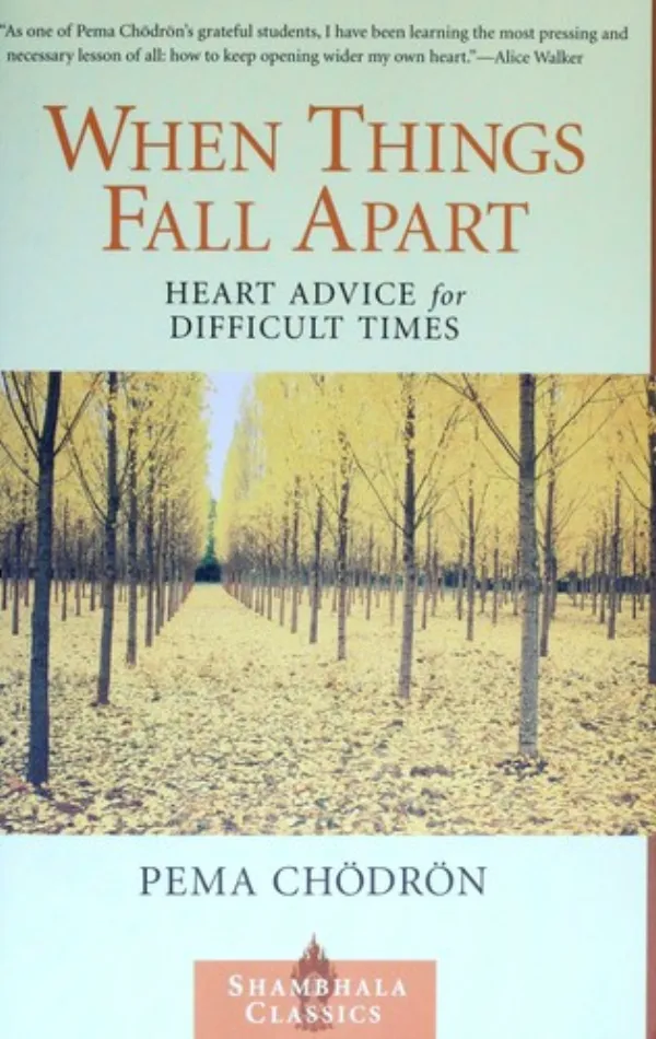 When Things Fall Apart cover