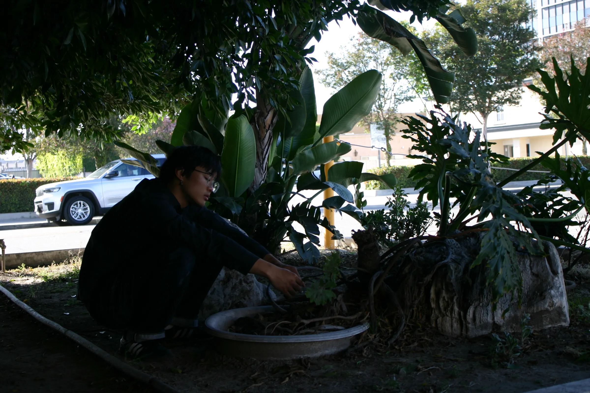 photo